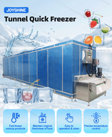 Tunnels de congélation IQF, compresseurs à panneaux, fabricant d'engrenages, congélateurs industriels à air pulsé, machines de transformation des fruits et légumes surgelés