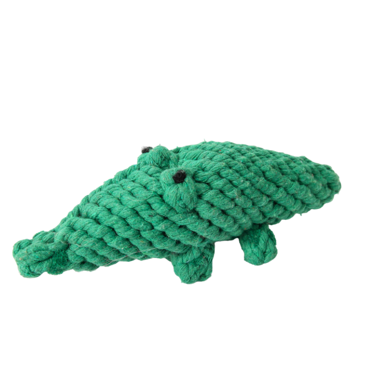 Crocodile