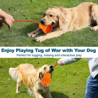 Jouet Interactif AFP pour Animal de Compagnie Lance-Balles Pliable pour Chien Blaster à Balle de Tennis Lanceur de Balle Perche à Flairer Flottante Bâton à Mâcher