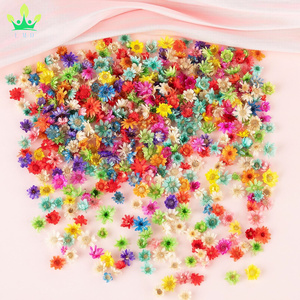 Piccoli fiori secchi per l'artigianato Mini <span class=keywords><strong>margherita</strong></span> naturale fiori veri alla rinfusa per gioielli fai da te <span class=keywords><strong>orecchini</strong></span> epossidici stampi candele sapone fare - Product Image 1