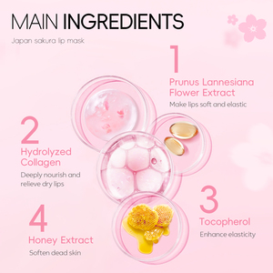 Masque Lèvres Hydratant Laikou JAPAN Sakura Hydrogel Repulpant au Collagène Cristallin 6g - Product Image 6