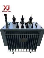 Transformateur immergé dans l'huile triphasé 10 kVA 20 kVA 63 kVA 80 kVA 400 V à enroulement en cuivre pour usage industriel et raccordement au réseau