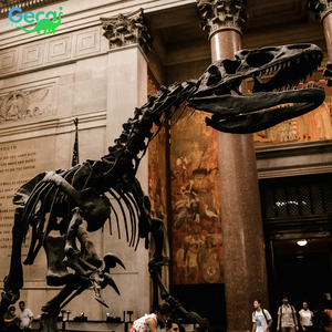 Gecai Museum Modèle de <span class=keywords><strong>squelette</strong></span> de dinosaure grandeur nature personnalisé T-rex fossile - Product Image 5