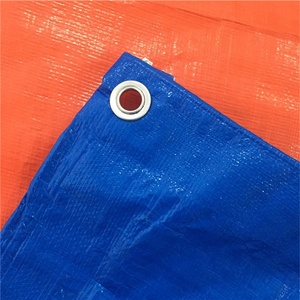 <span class=keywords><strong>Bâche</strong></span> en PE <span class=keywords><strong>de</strong></span> qualité supérieure pour camion, 100-200 g/m², pratique, imperméable et protectrice - Product Image 1