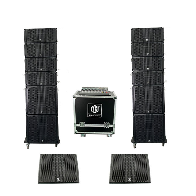 Best-selling Dual 10-inch Line Array for Professional Sound Equipment Systems, Business Services and Stage Shows