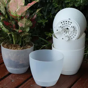 6Inch Tuin Tuinplant Sappige Potten Plastic Zaailing Bloemenplanter Heldere Automatische Zelfwaterpot