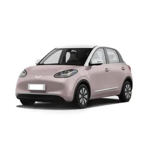 Kss064 Hoge Kwaliteit Wuling Hongguang Mini Ev Trending Verkoop Mode Mini Elektronische Auto Mini E Auto Voor De Laagste Prijs