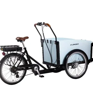 Dutch cargo bike 3 wheel electric tricycle with rear wheel motor bike carry children