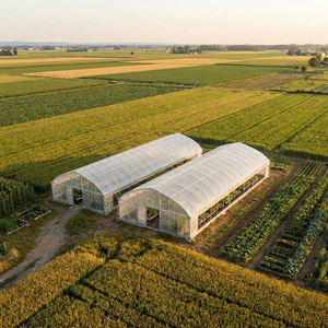 Serres agricoles en film plastique à double couche, grande taille, à simple travée, personnalisées en usine, à faible coût, pour <span class=keywords><strong>tomates</strong></span>, Starfarm - Product Image 5