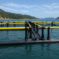 Cage de pêche flottante carrée en HDPE de 6x6m pour l'élevage de poissons en rivière ou en lac, équipement de pisciculture