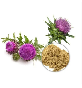 Лучшая цена, высококачественный бесплатный образец, порошок экстракта травы японского чертополоха, распродажа - Product Image 4