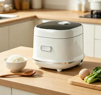 Cuisinière à riz électrique et multicuiseur avec cuiseur vapeur en acier inoxydable, boîtier en plastique pour usage domestique
