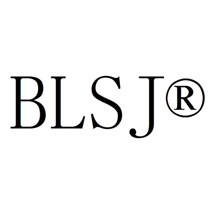 Yiwu Baoshi Trading Co.,ltd. logo