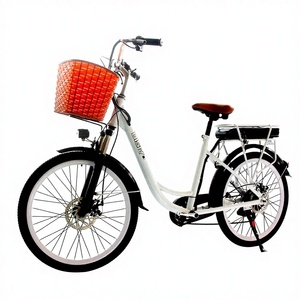 จักรยานไฟฟ้า 48V 350W 18 นิ้ว 20 นิ้ว สำหรับผู้หญิง โครงรถมอเตอร์ไซค์แบบพับได้ ยี่ห้อ DISIYUAN พร้อมเบรกไฮดรอลิกดิสก์ ลิเธียม อิเล็กทรอนิกส์ - Product Image 1