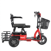 Tricycle Électrique Pliant à Pièces Détachées, Chaise de Mobilité de Loisirs, Moteur Brushless, Autonomie 30km, Pour Personnes Handicapées et Âgées, Propulsion Arrière, Ouvert