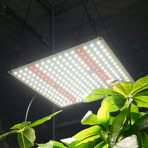 Panel <span class=keywords><strong>de</strong></span> Luz <span class=keywords><strong>de</strong></span> Cultivo <span class=keywords><strong>de</strong></span> Alto PPFD, Espectro Completo LED, 150W, Quantum Board para Cultivo <span class=keywords><strong>Vertical</strong></span> Comercial <span class=keywords><strong>de</strong></span> Lechuga y Fresas - Product Image 4