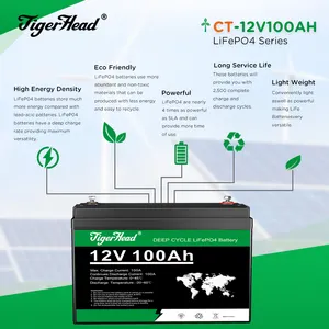 Tiger Head 12V 100Ah LiFePO4 Lithium Ion Battery Rechargeable Li-ion Battery Lead Acid Replacement Solar System Battery Pack