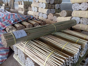 Agricultural Bamboo Stakes Bamboo <b>Garden</b> Stakes Natural Tonkin <b>Cane</b> Vietnam Manufacturer Wholesale - Product Image 5