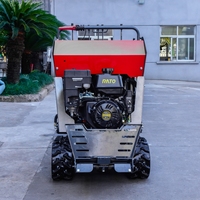 Nouvelle trancheuse sur chenilles 20hp à vendre avec tête de broyeur de souches en option Machine forestière deux en un