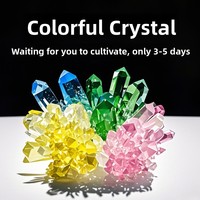 Kit d'expériences scientifiques DIY pour la culture de cristaux, pour les 0-3 mois, activité chimique parent-enfant, matériau plastique, cadeau de Noël