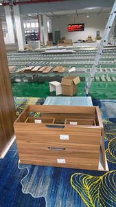 Gỗ Modular đã sẵn sàng để lắp ráp bộ hoàn chỉnh với pull out Organizer tủ bếp bồn rửa tủ - Product Image 5