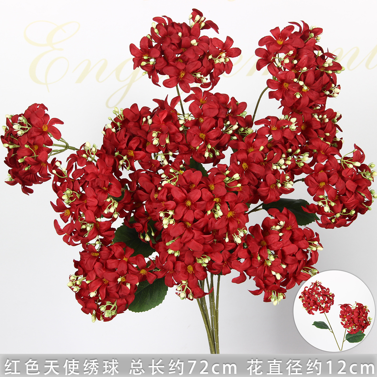 Hortensia ange rouge à deux têtes