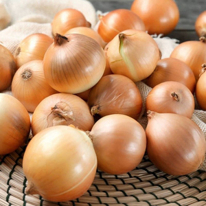 Cebollas Amarillas Frescas Directas de Fábrica de Shandong, Calidad Premium, Nueva Cosecha, Tamaños de 3-5 cm, Bolsa de Malla de 10 kg/20 kg, Exportación a Granel - Product Image 3