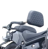 BENDA Black Flag 500 Sissy Bar BD500-2A Support de bagages en acier inoxydable - Porte-bagages arrière pour TORST Garantie 1 an