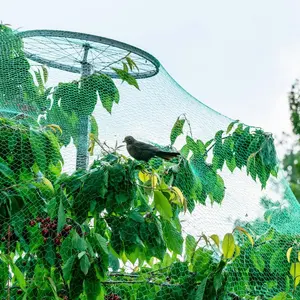 花园水果保护器耐用鱼塘覆盖绿色农场植物围栏网防鸟网