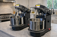 Fabrieksmodel borstelloze motor 850W 11-speeds kantelbare kop verwijderbare kom brood pizza amasadora spiraal deegmixer 15L 6Kg
