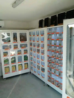 Distributeur automatique intelligent de cadeaux (fruits, œufs, chaussures) avec fonction SDK, plaque métallique, capacité de 300-420 pièces