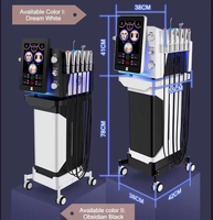 Appareil de dermabrasion multifonctionnel pour le visage, pour un nettoyage en profondeur, l'élimination des points noirs et de l'acné, hydratation et oxygénation du visage