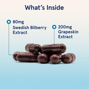 Suplemen antioksidan alami kapsul ekstrak <span class=keywords><strong>Bilberry</strong></span> & Blueberry organik dipanen untuk dewasa dukungan saraf kognitif - Product Image 3