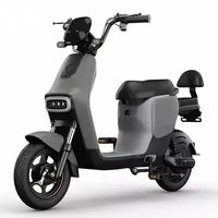 Sepeda Listrik Kota 350W 48V Penggerak Roda Belakang Layar Digital Tiga Kecepatan Sepeda Dewasa