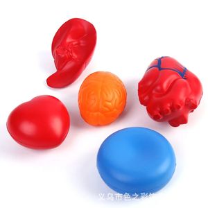 Juguete Antiestrés de Órgano Humano Simulado, Pelota Médica de Alta Calidad con Logotipo Personalizado, Juguete de Descompresión para Niños de 5 a 7 Años - Product Image 4