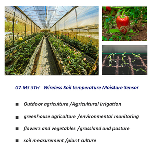 เซ็นเซอร์วัดความชื้นและอุณหภูมิในดินได้รับการรับรองมาตรฐาน CE ROHS FCC สำหรับการเกษตรอัจฉริยะ - Product Image 4