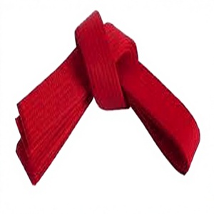 Cinturón de Karate de Color Sólido Personalizado al por Mayor para Entrenamiento y Competición de Artes Marciales, Alta Calidad, 100% Algodón - Product Image 1