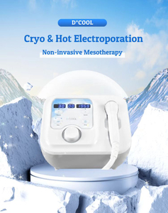 Appareil d'électroporation chaud/froid certifié CE D-Cool avec mode pulsé réglable pour soins post-laser en clinique de beauté, compatible OEM - Product Image 3