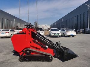 Machine compacte HTS530 à direction par glissement entièrement hydraulique approuvée par l'EPA pour les travaux de construction, d'agriculture et de cour - Product Image 1