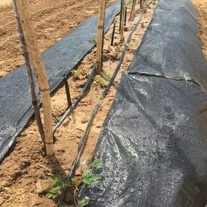 Géotextile tissé en PP de haute qualité à prix d'usine, barrière anti-mauvaises herbes industrielle/tissu de lutte chimique contre les mauvaises herbes, écologique et anti-âge - Product Image 2