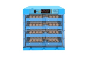 Incubateur d'œufs de poulet entièrement automatique de haute qualité avec moteur 220V pour plateaux – Canards, Cailles, Reptiles, Dindes – Neuf et d'occasion - Product Image 2