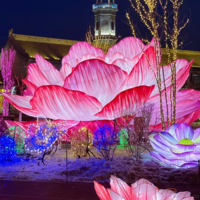 Fleurs géantes en soie rouge 2025 faites à la main pour lanternes en papier décoratives extérieures éclairage de parc de festival de nouvel an chinois personnalisé