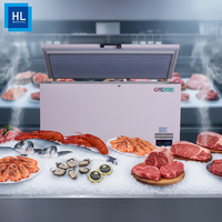 468L -60 ℃   Congélateur à très basse température de grande capacité pour le stockage des fruits de mer, de la viande et de la volaille