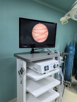 Système de caméra d'endoscope médical IKEDA YKD-9006 FHD pour les procédures ORL