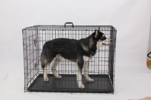 Vietnam'da yapılan çoklu boyutları çift kapı katlanabilir Metal tel kedi köpek sandık evcil hayvan kafesi - Product Image 4