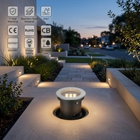 Projecteur encastré extérieur en acier inoxydable 12V 24V avec télécommande pour terrasse, allée, jardin, éclairage souterrain