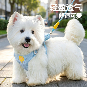 Dog leash, small and <b>medium</b>-<b>sized</b> dog harness, pet chest carrier, dog <b>backpack</b>, for outdoor dog walks and storage. - Product Image 2