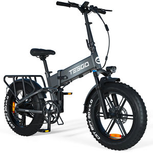 20 pouces Ebike <span class=keywords><strong>Engine</strong></span> <span class=keywords><strong>Pro</strong></span> 2.0 pliant E VTT 48V <span class=keywords><strong>750W</strong></span> gros pneu vélo électrique vélo - Product Image 1