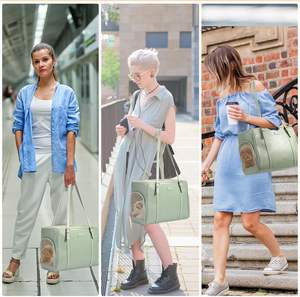 Elegante bolsa de cuero <span class=keywords><strong>para</strong></span> mascotas con ventana de malla transpirable adecuada <span class=keywords><strong>para</strong></span> gatos medianos y perros pequeños de menos de 10 libras - Product Image 3