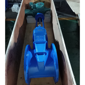 Customization Motorized Ductile <b>Iron</b> Soft Sealing Flange Gate With Actuator Z45X Actuator Gate - Product Image 3
